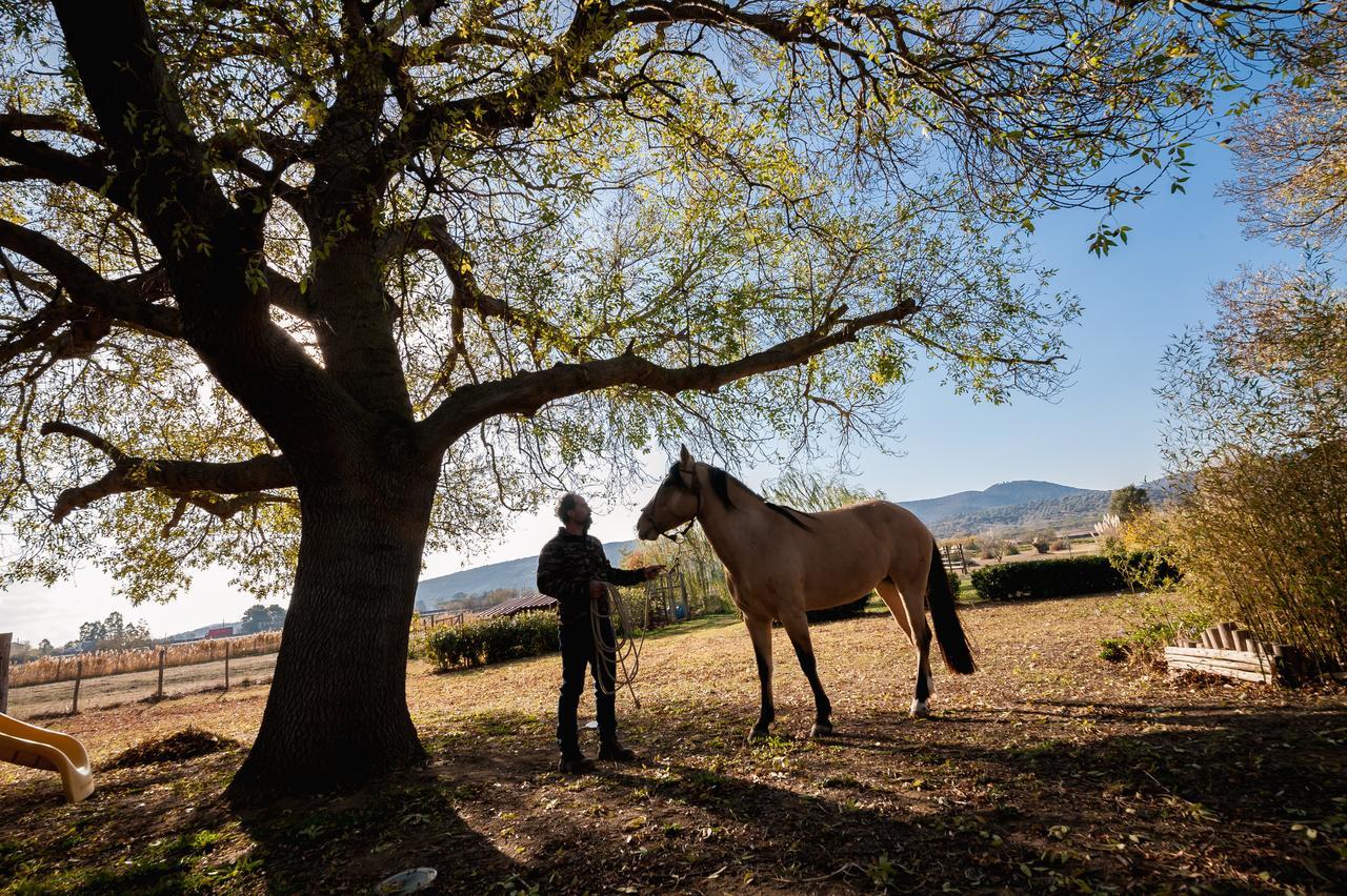 El Molino Agriturismo Fonteblanda Zewnętrze zdjęcie